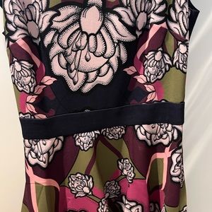 Ted Baker skater dress